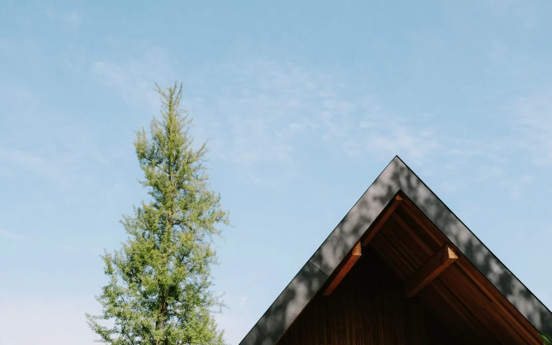 Philippe Gonçalves architecte : parcours